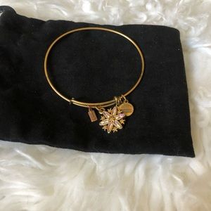 Alex and Ani 2017 Snowflake Charm Bangle